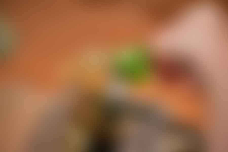 bearded dragon not eating