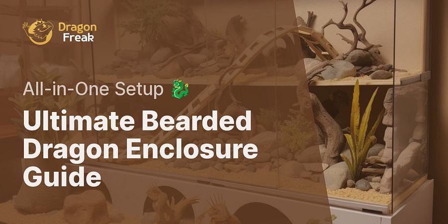 Ultimate Bearded Dragon Enclosure Guide - All-in-One Setup π
