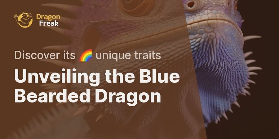 Unveiling the Blue Bearded Dragon - Discover its 🌈 unique traits