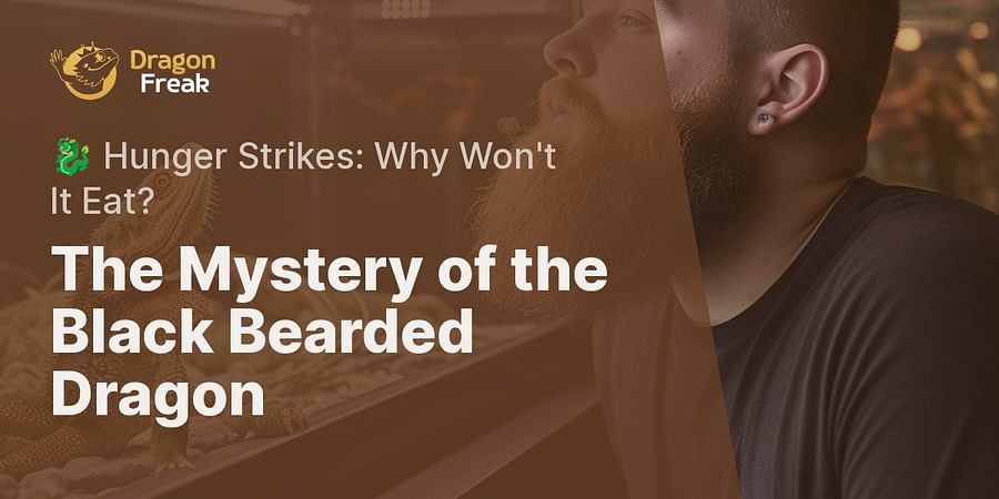 The Mystery of the Black Bearded Dragon - 🐉 Hunger Strikes: Why Won't It Eat?