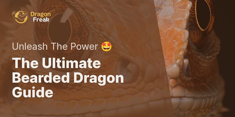 The Ultimate Bearded Dragon Guide - Unleash The Power 🤩