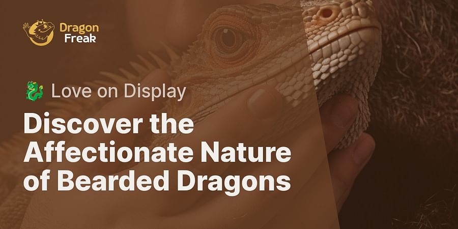 Discover the Affectionate Nature of Bearded Dragons - 🐉 Love on Display