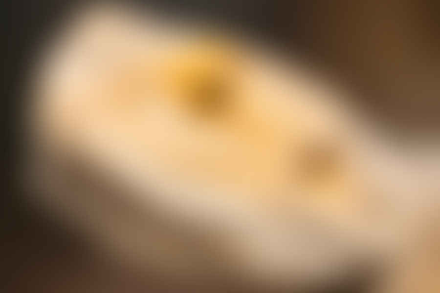 Healthy bearded dragon eyes
